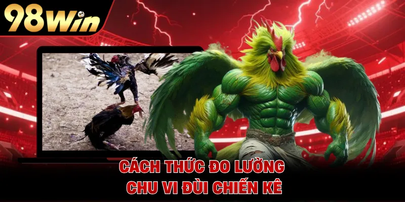 Cách thức đo lường chu vi đùi chiến kê