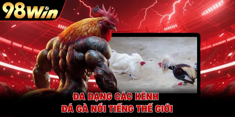 Đa dạng các kênh đá gà nổi tiếng thế giới