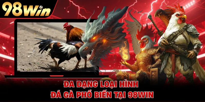 Đa dạng loại hình đá gà phổ biến tại 98WIN