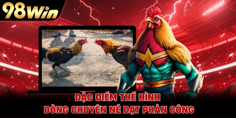 Đặc điểm thể hình dòng chuyên né dạt phản công