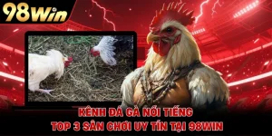 Kênh Đá Gà Nổi Tiếng - Top 3 Sân Chơi Uy Tín Tại 98WIN