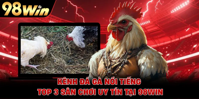 Kênh Đá Gà Nổi Tiếng - Top 3 Sân Chơi Uy Tín Tại 98WIN