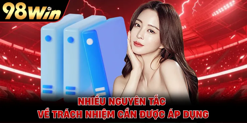 Nhiều nguyên tắc về trách nhiệm cần được áp dụng